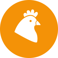 Huhn
